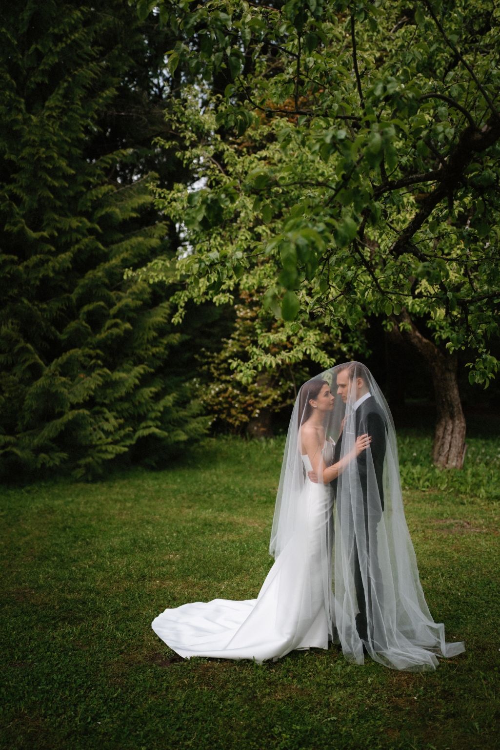A romantic wedding photo under a veil in a lush garden setting.