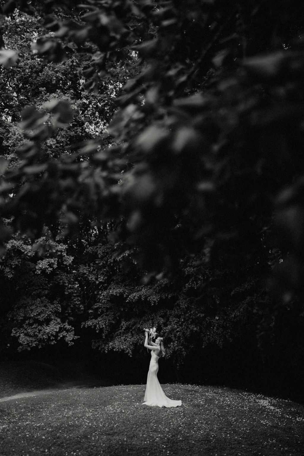 Dramatic black and white wedding photo with tall trees framing a couple on a hill.