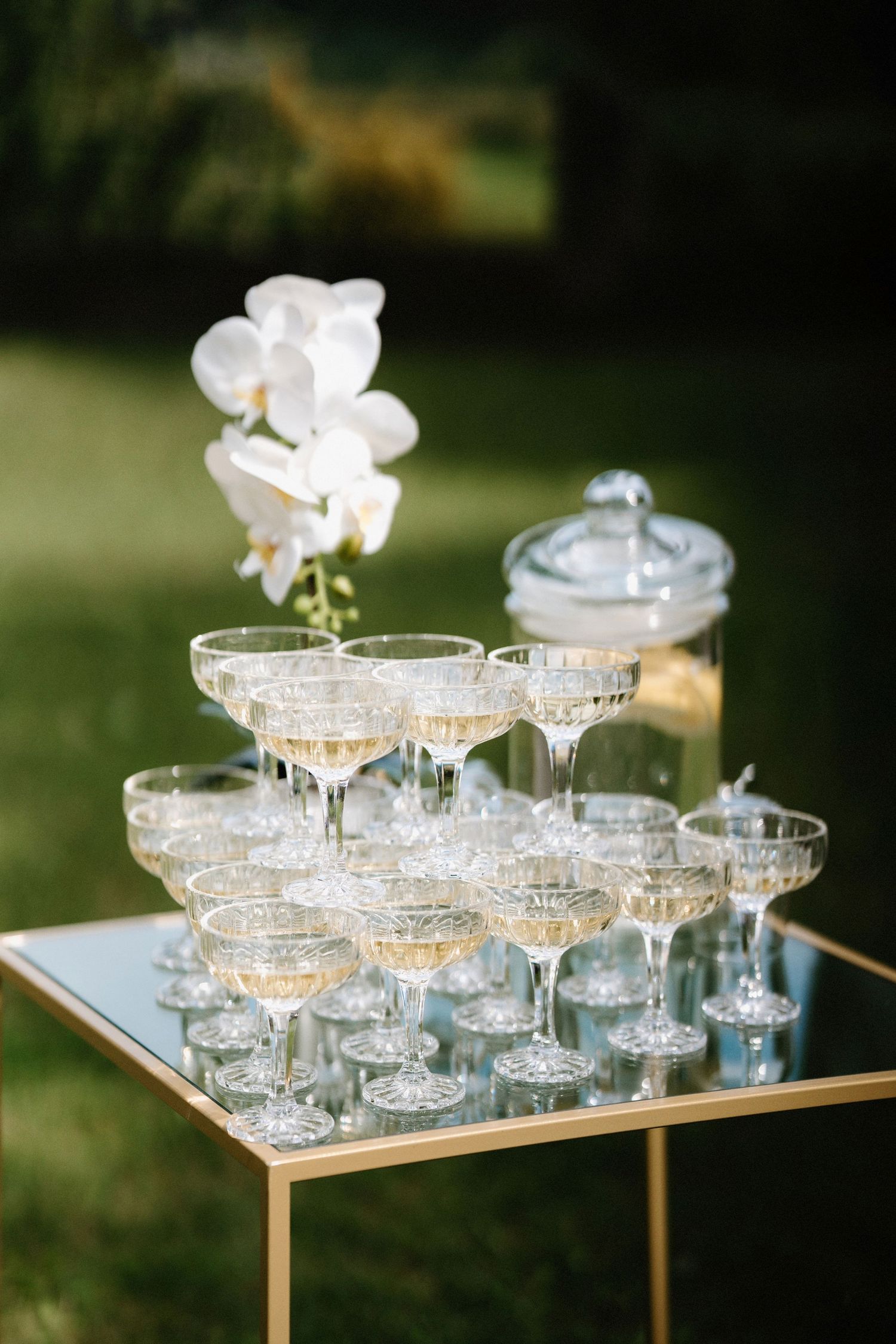 Elegant champagne coupe glasses arranged on gold mirrored tray with white orchid decorations.