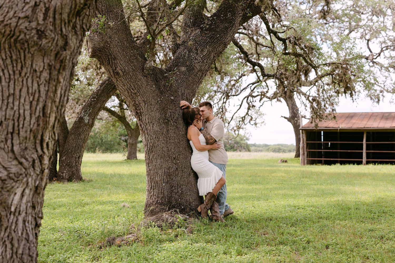 Couple sharing a kiss against a large oak tree in a green field, woman in white maternity dress and cowboy boots.
