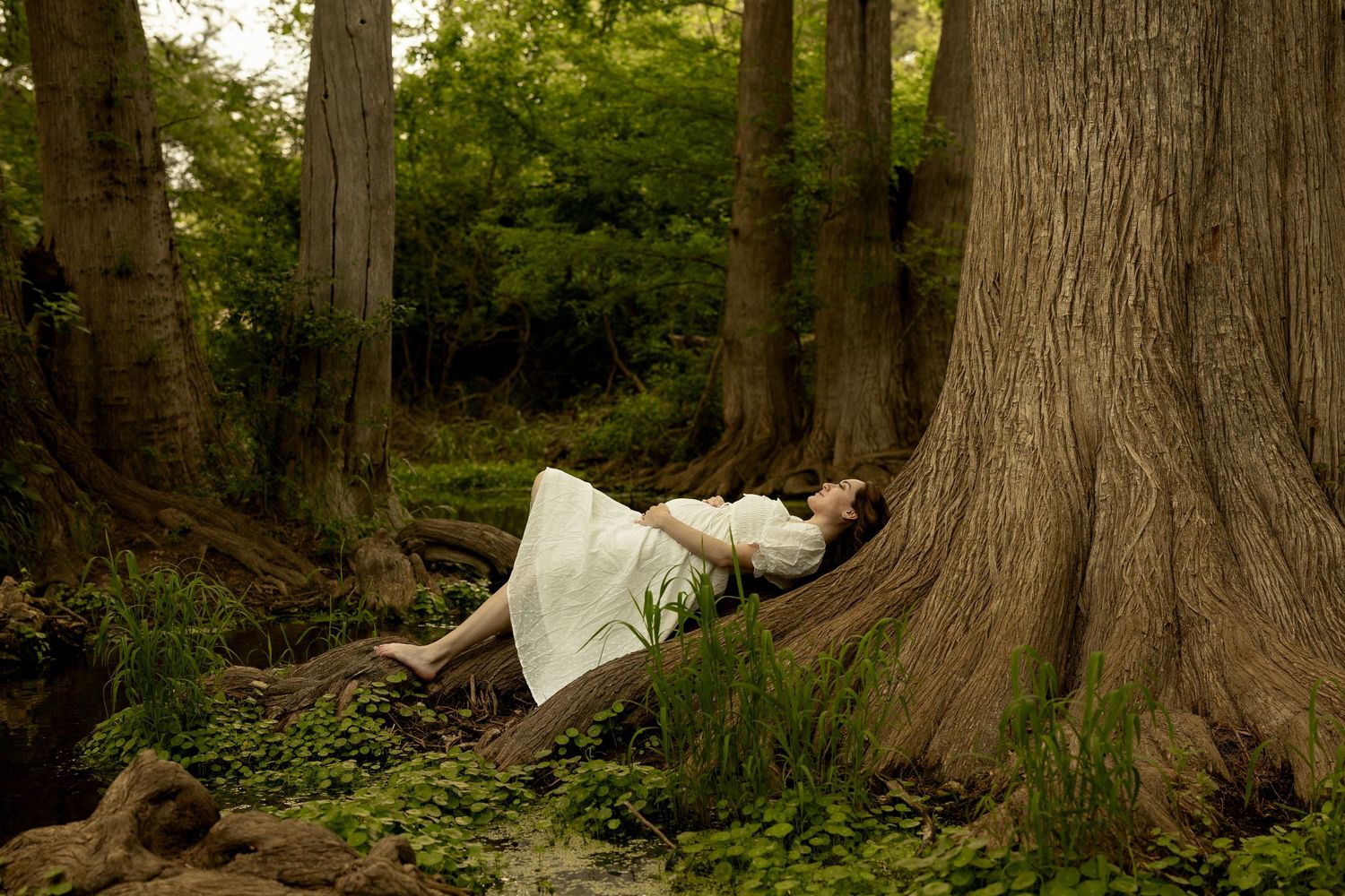 Person reading book while resting against large tree trunks in forest setting.