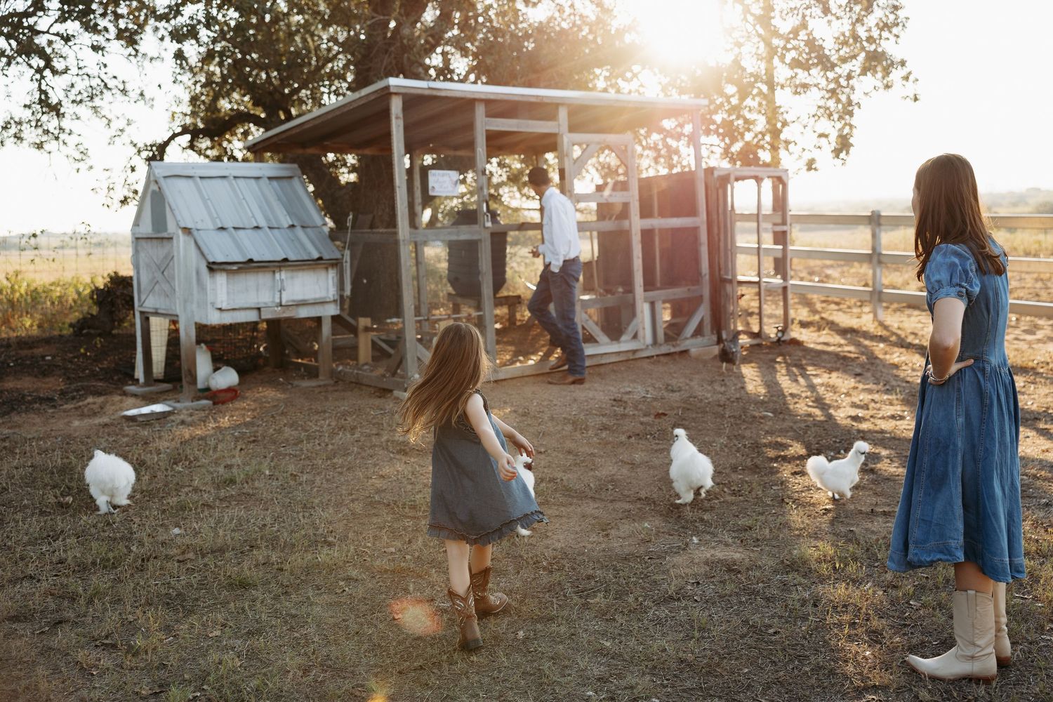 Family tending to a chicken coop at golden hour, with white hens roaming freely on a rustic farm.