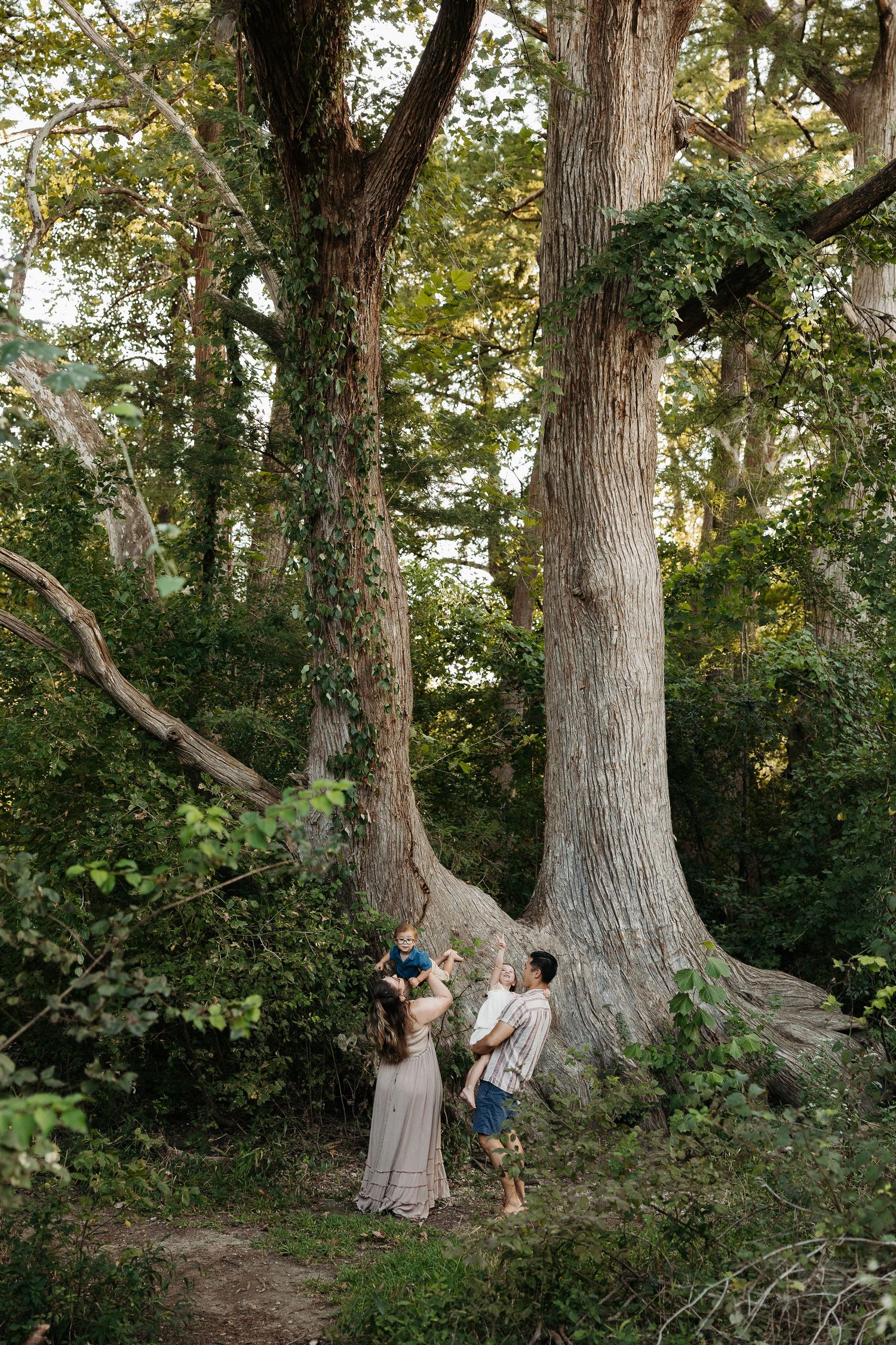 Family enjoying a peaceful moment together among tall trees in a lush forest setting during golden hour.