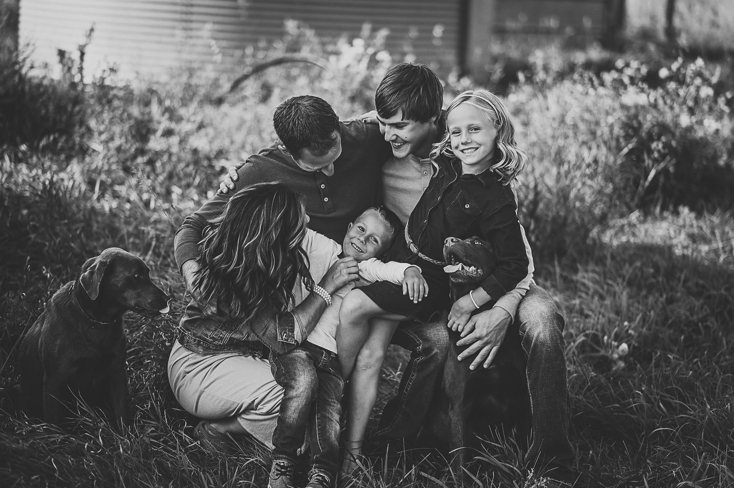 A black and white artistic family portrait captured in nature with tall grass and sunlight in the background.