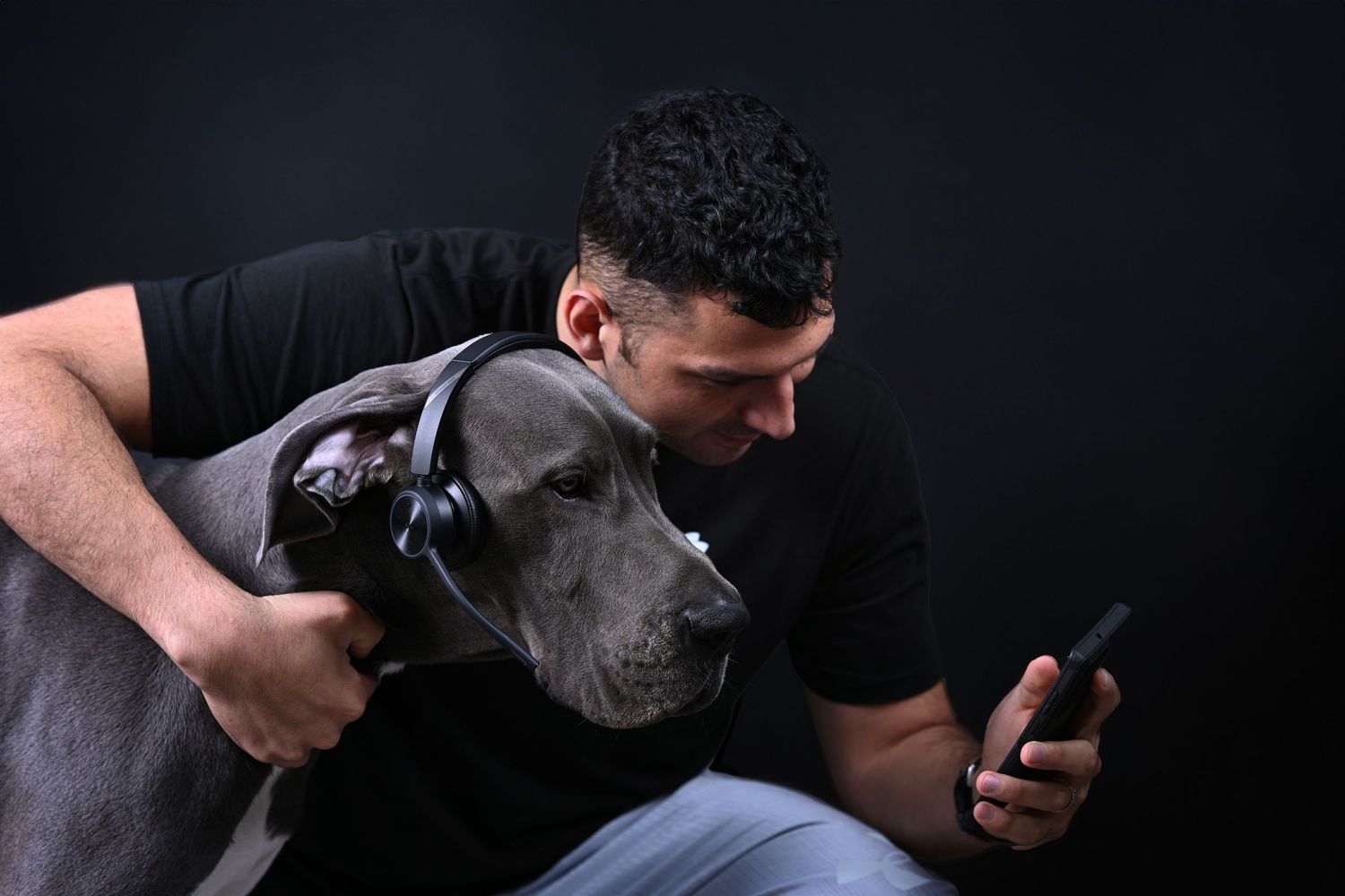 Person showing phone screen to gray dog while sitting together against dark background.