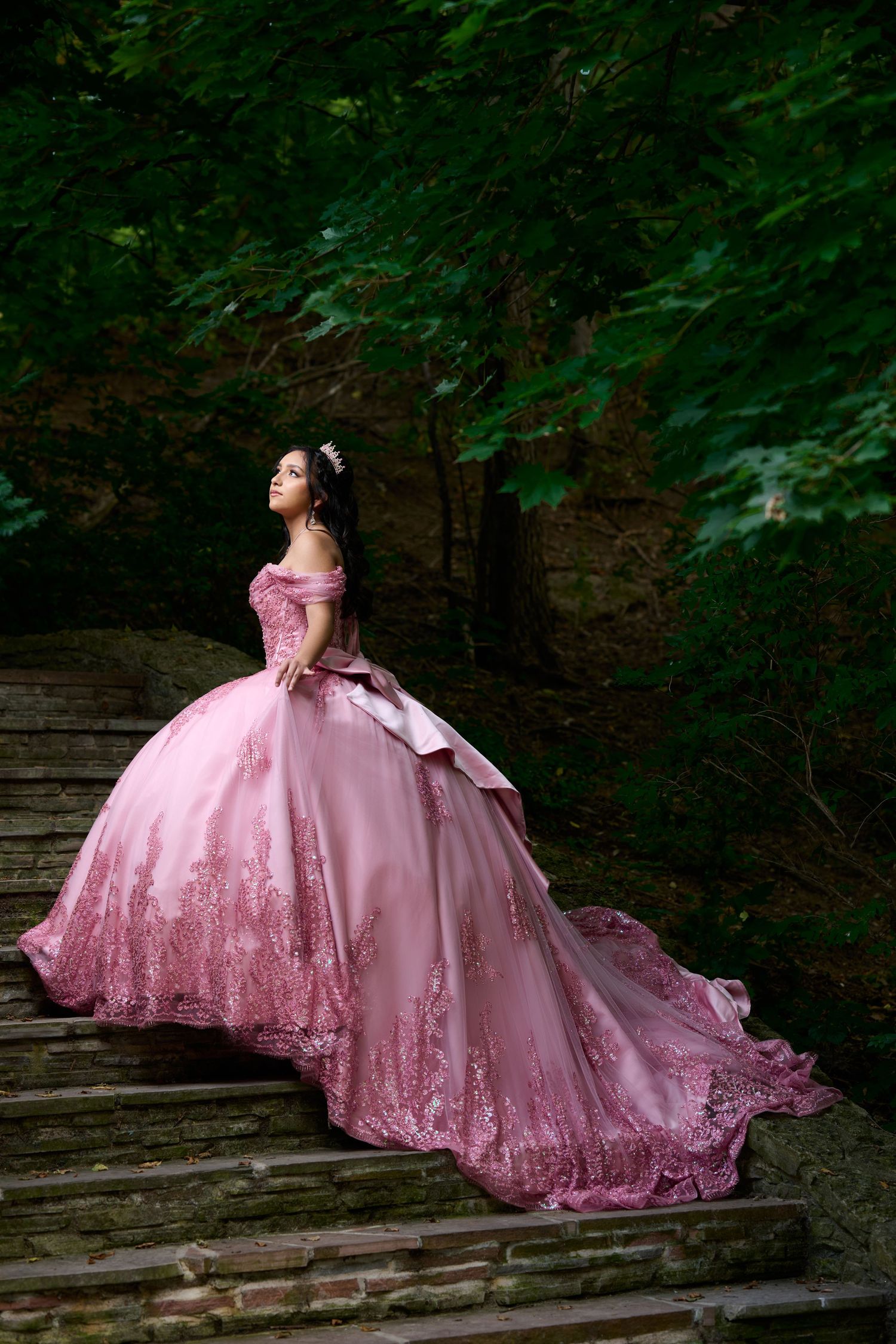 A stunning pink princess ballgown with detailed embellishments photographed on wooden steps in a forest.