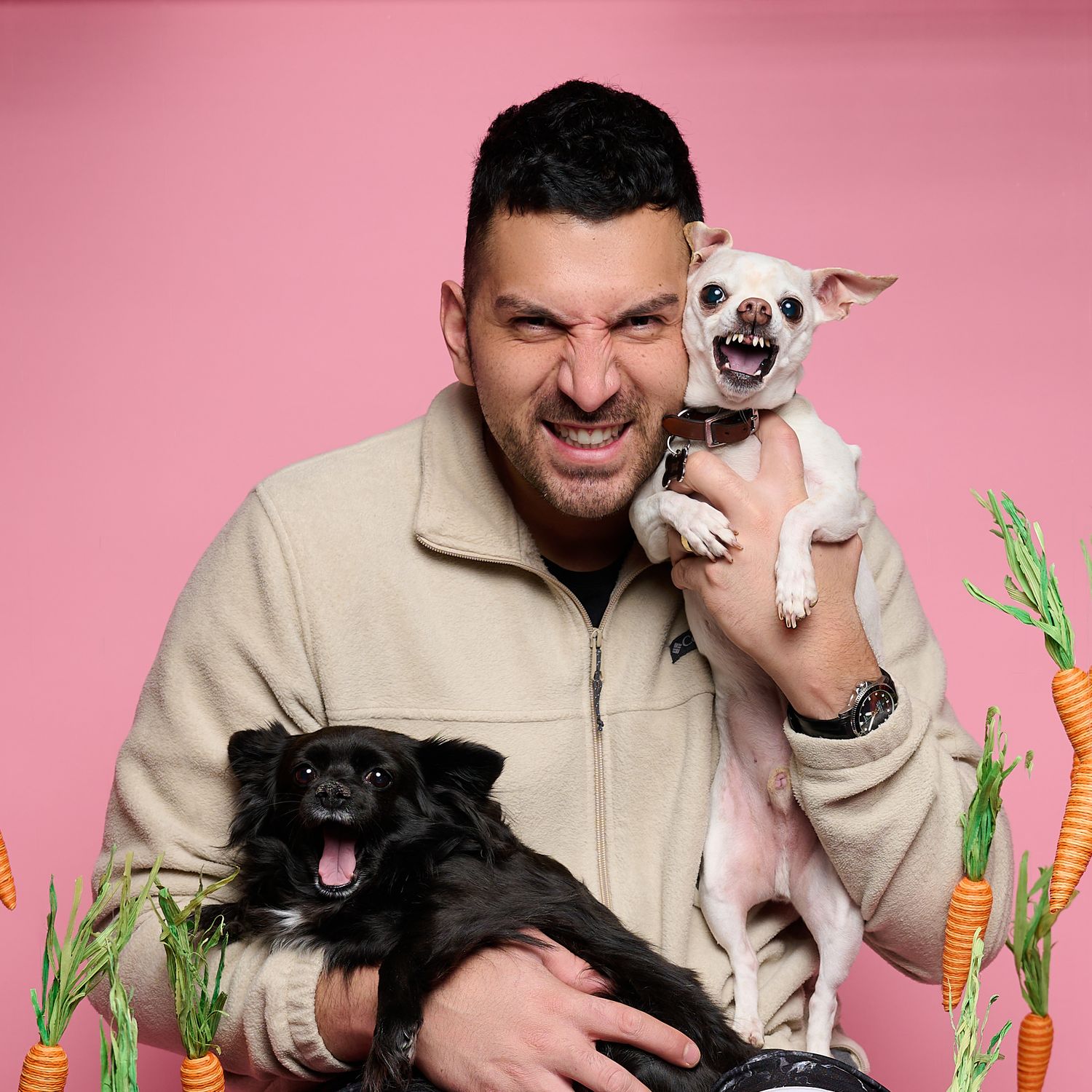 A cheerful portrait with two dogs against a pink backdrop with decorative carrots