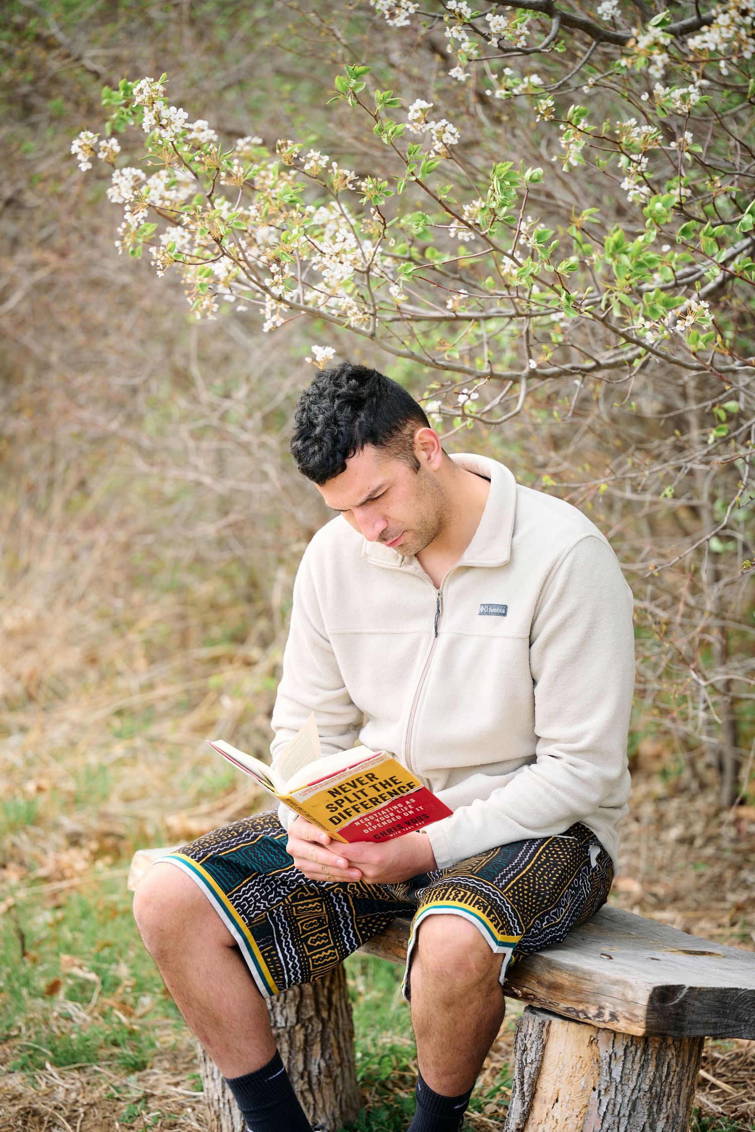 Someone reading a book while sitting on a wooden log beneath blooming spring cherry blossoms.