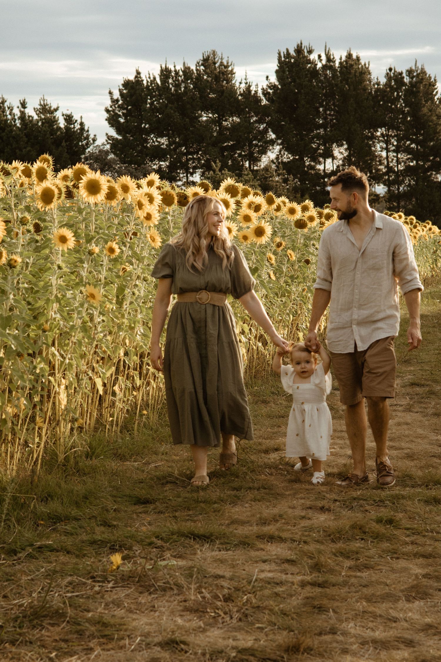 Family walking together in a golden sunflower field at sunset with tall pine trees in the background.