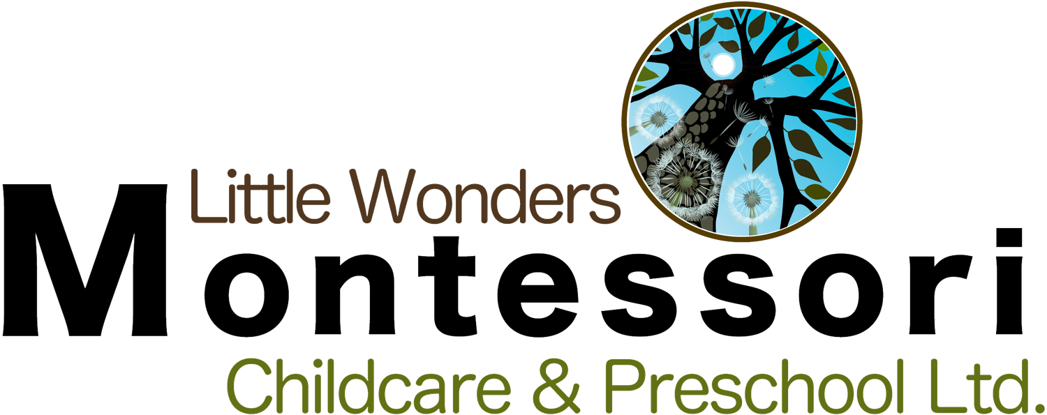 A circular logo design featuring a blue and green tree motif with text for Little Wonders Montessori Childcare and Preschool Ltd.