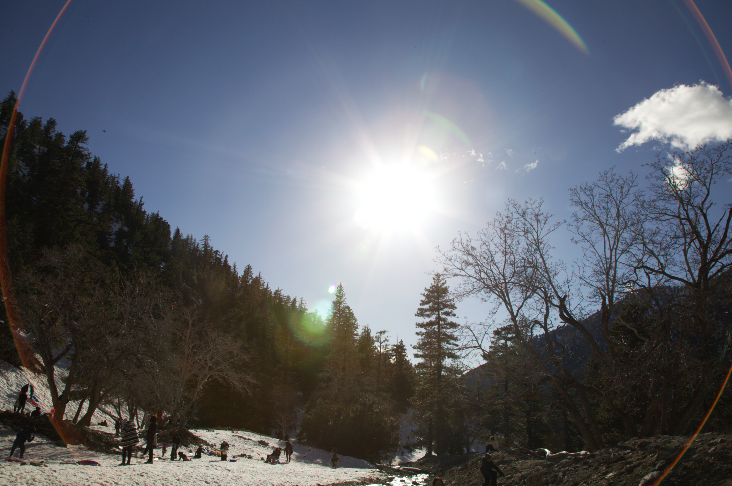 Bright sun flare over snowy forest valley with fisheye lens effect.