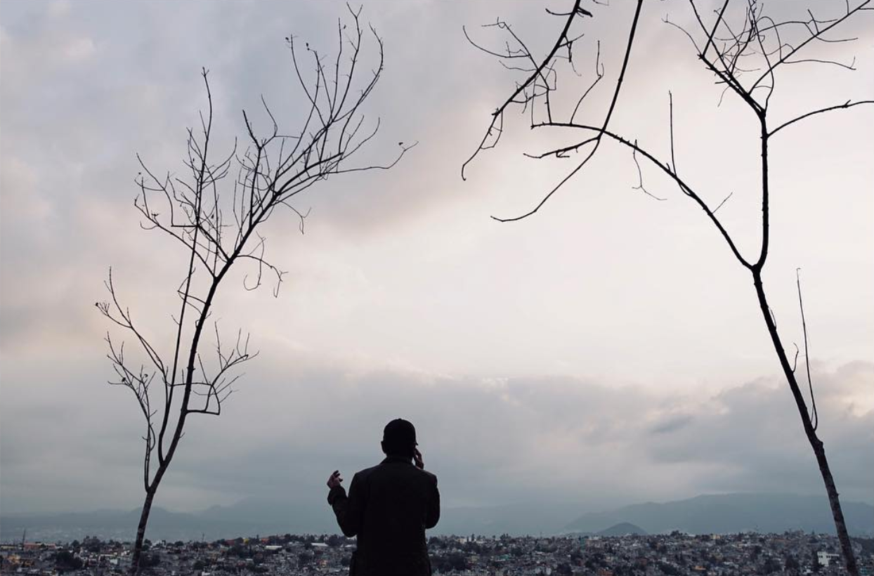 Silhouette of person standing between bare trees overlooking a city skyline under cloudy skies.