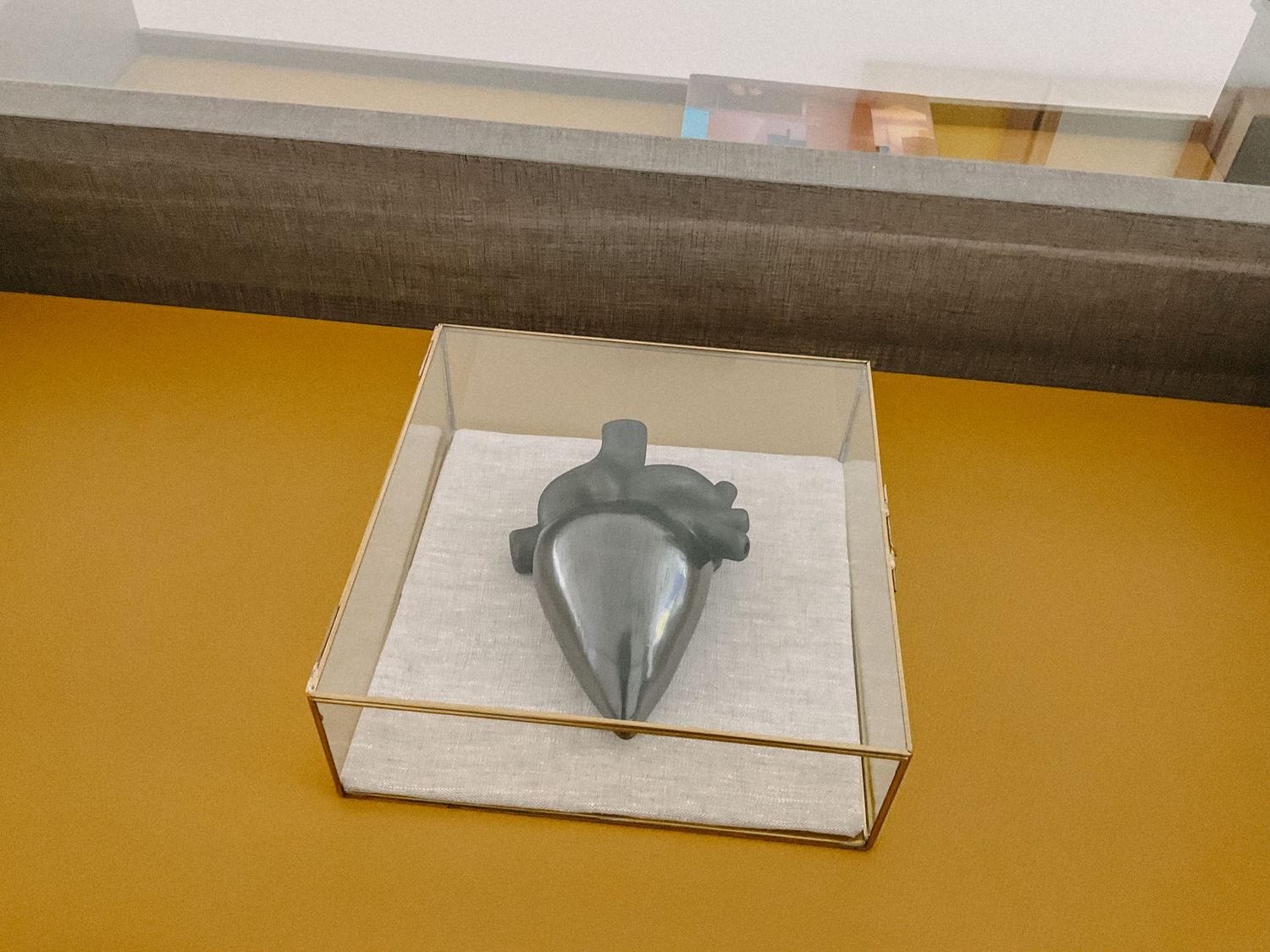 A dark gray anatomical heart sculpture displayed in a glass case on a yellow surface near a window.