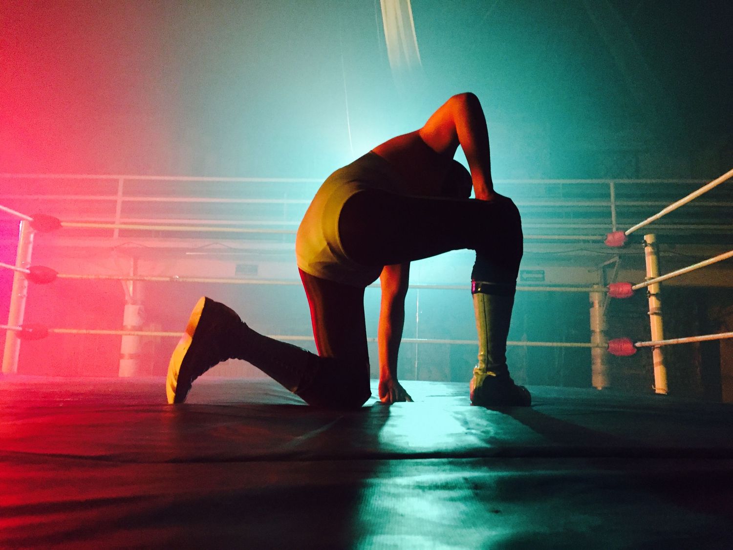 Dramatic silhouette of athlete kneeling on boxing ring floor under vivid red and green stage lighting.