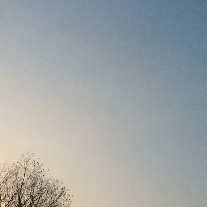 Bare tree silhouette against a soft gradient sky at dusk with muted blue and warm peach tones.