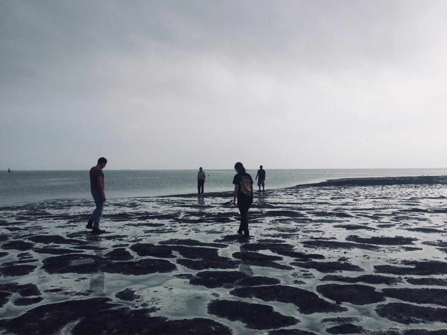 Group of people standing on rocky tidal flats under overcast sky at low tide near the ocean.