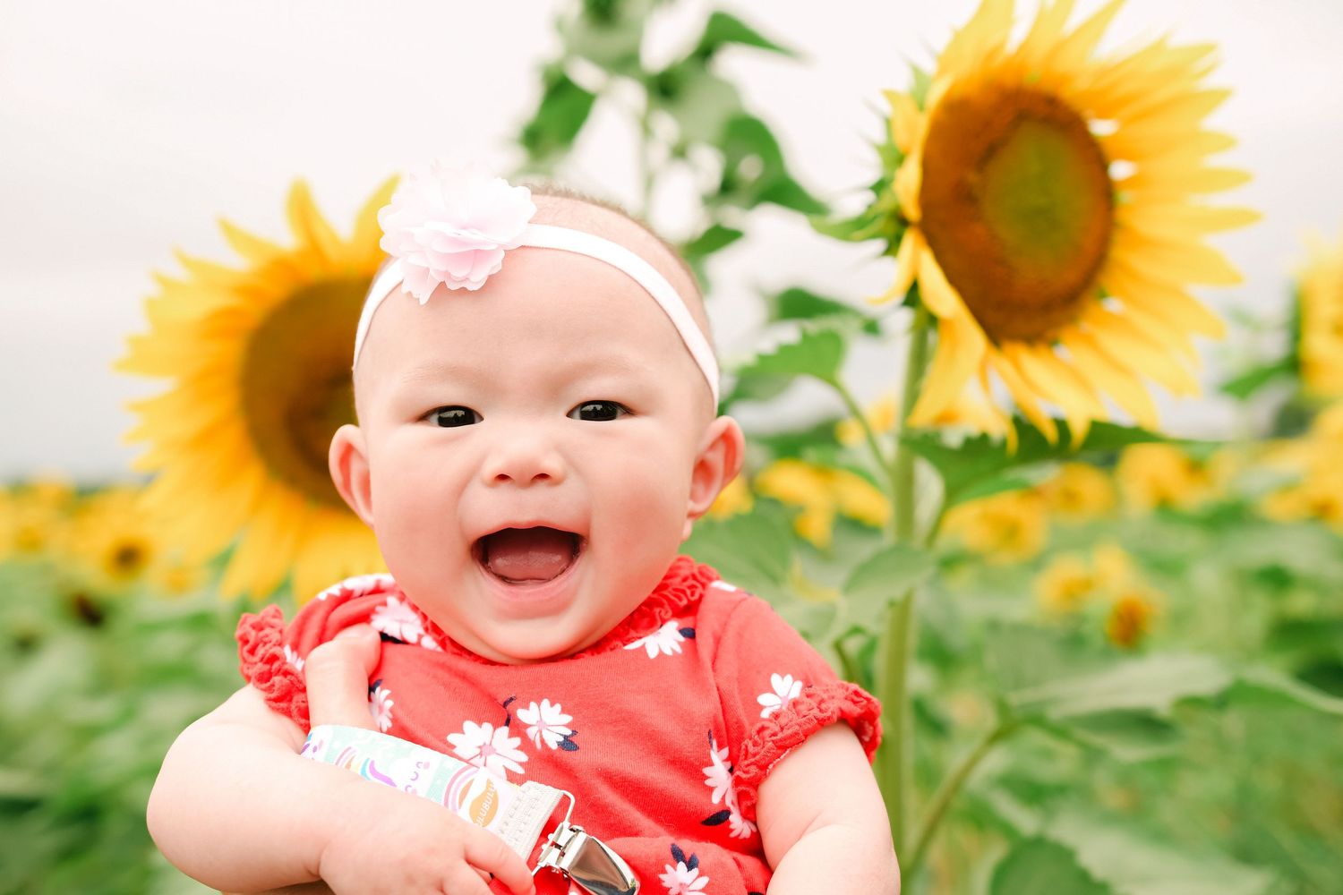 Close-up portrait of a happy baby posing in a Minnesota sunflower field during a family session.