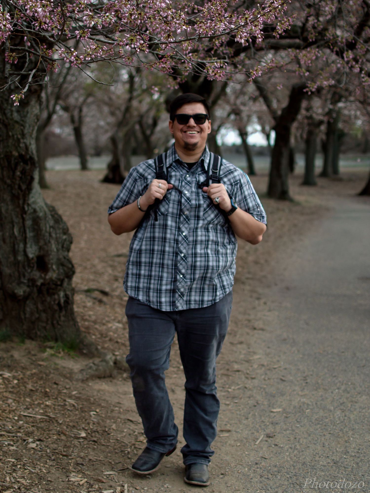 A person in a plaid shirt and jeans stands among blooming cherry blossom trees on a path during spring.