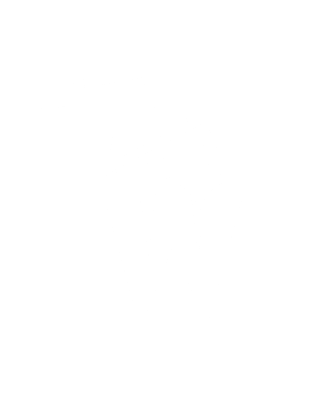 Blank white image with no visible content.