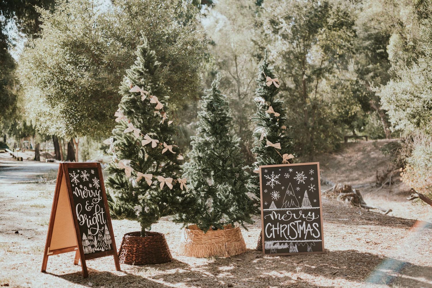 Outdoor Christmas tree display with chalkboard signs reading Merry Christmas, surrounded by decorated trees on rustic burlap bases.