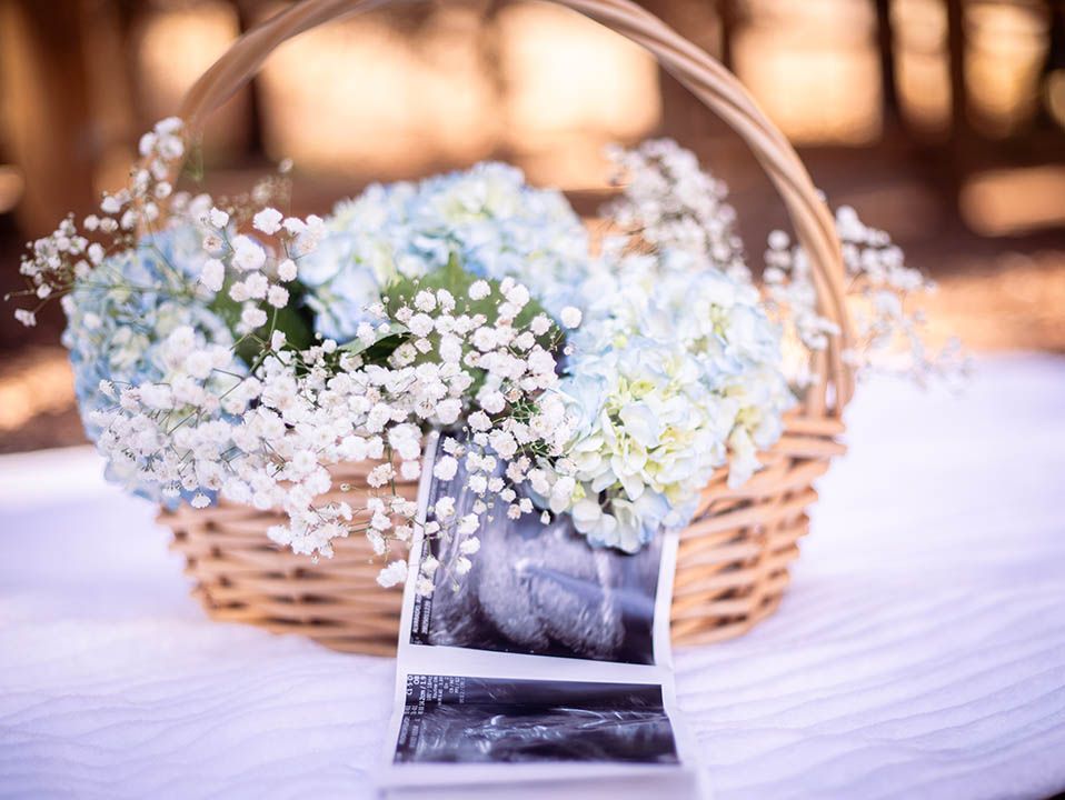 forest scene with a white blanket and a woven basket with blue hydrangeas, baby's breath, and an ultrasound image peeking out of the basket
