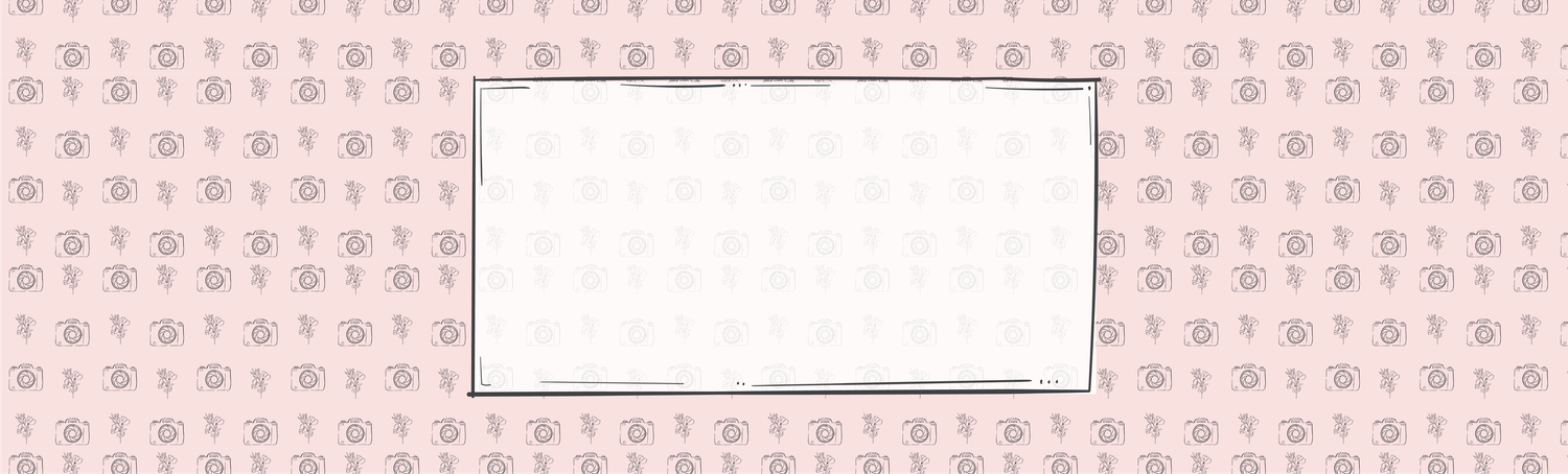 Background image with a white text box. Background is light pink, and the pattern has alternating camera and florals