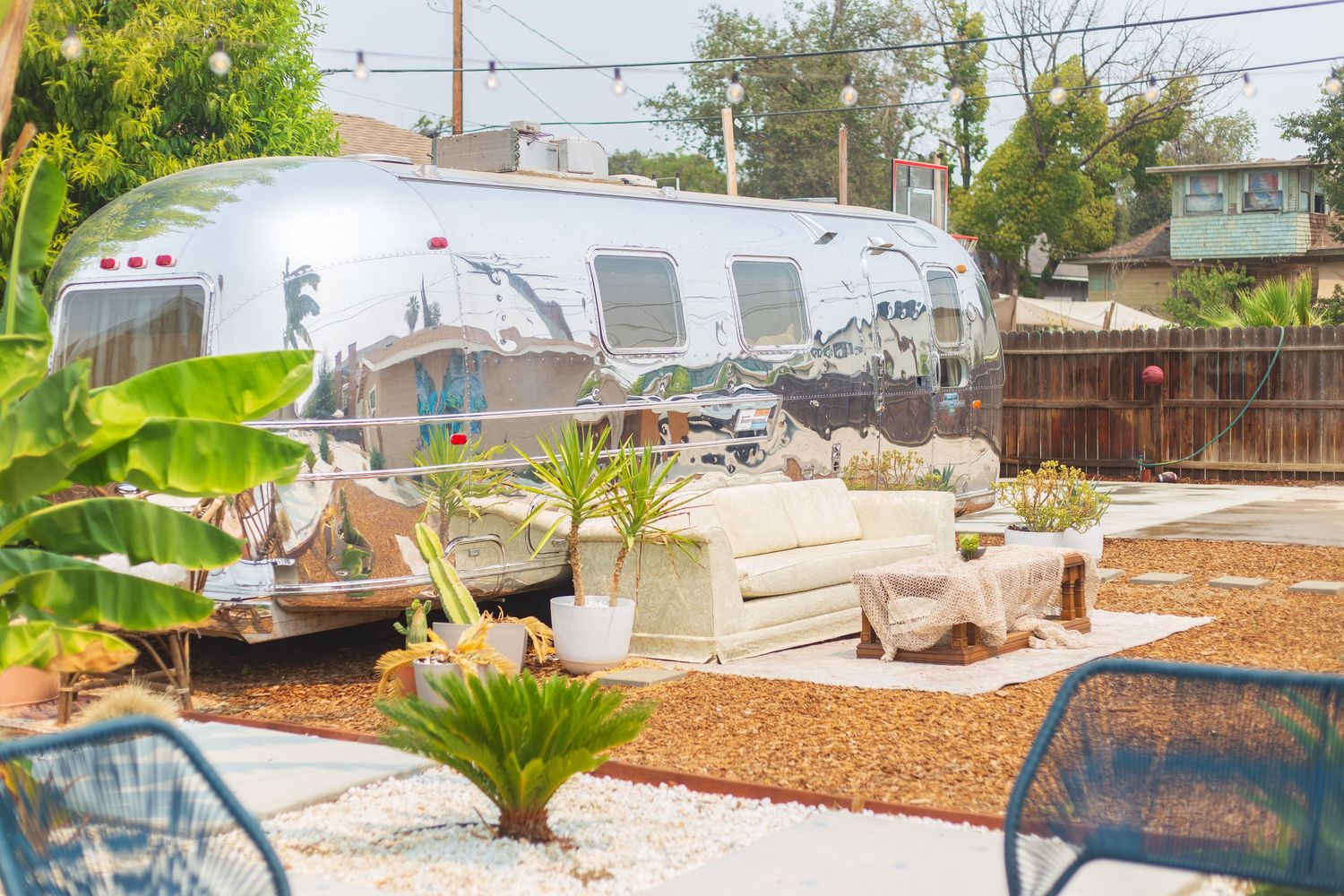 A modern backyard landscaping project featuring drought-resistant plants, mulch, and a clean geometric design.