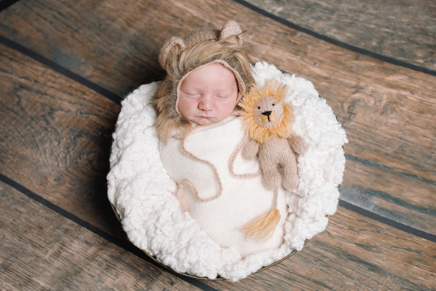 Newborn baby is posed in a basket wearing a lion hat and holding a stuffed lion in studio at North Tonawanda, New York.