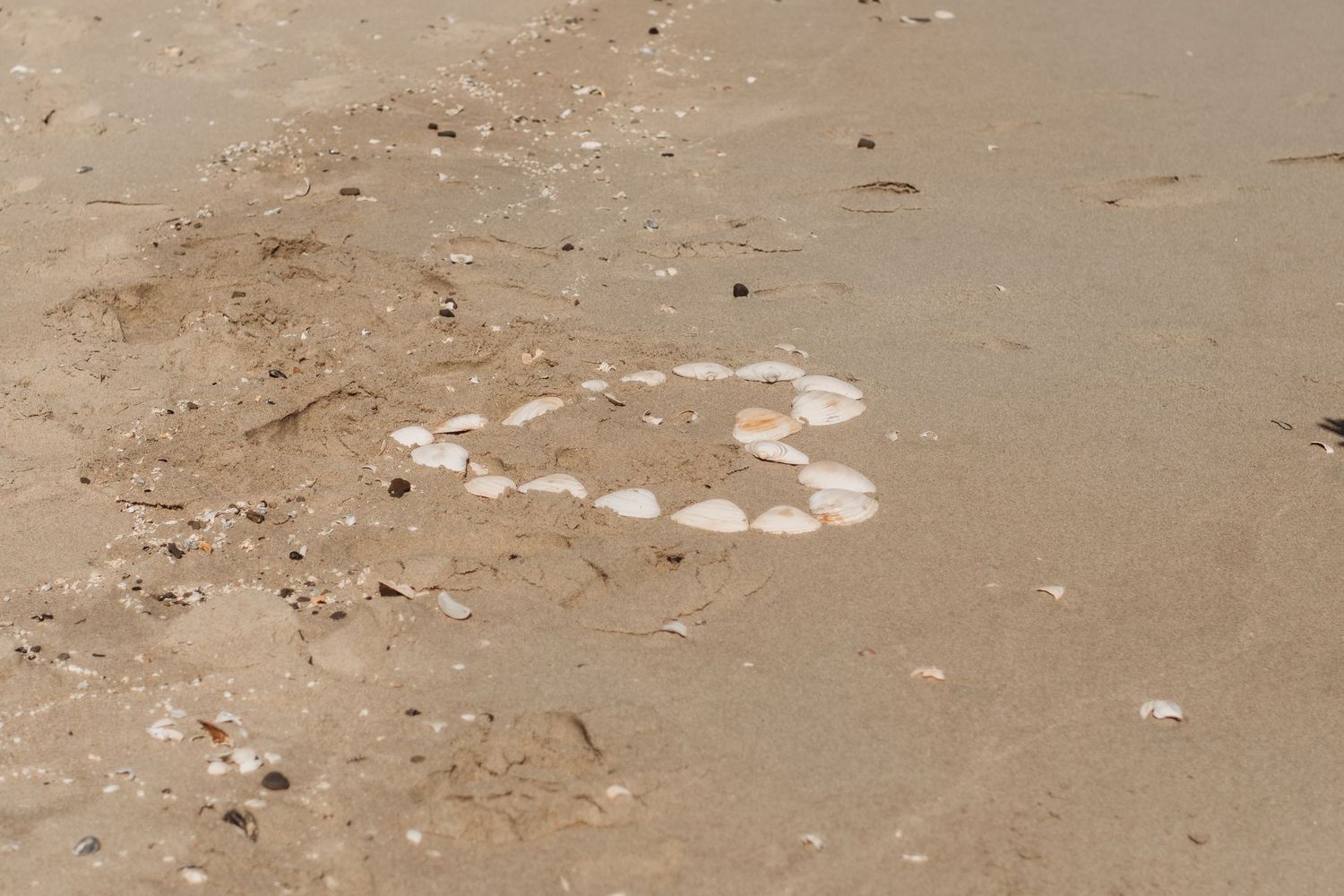 Close-up view of wet sand texture on a beach with small shells scattered about.