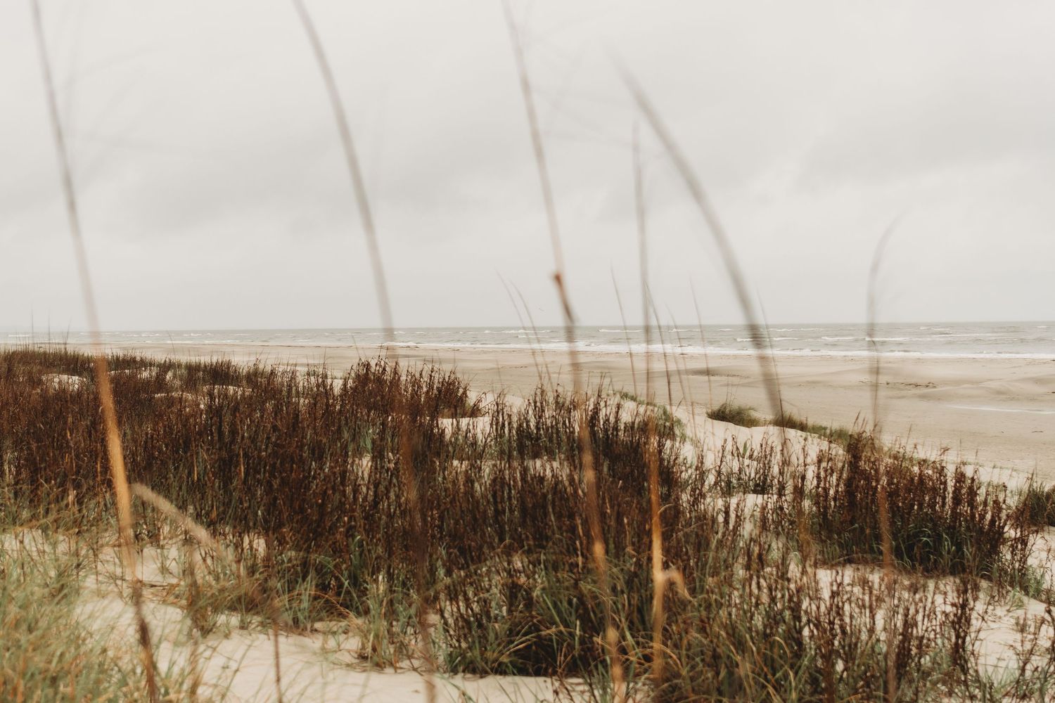 Sandy beach dunes with brown sea grass under overcast skies on a quiet coastal shoreline.