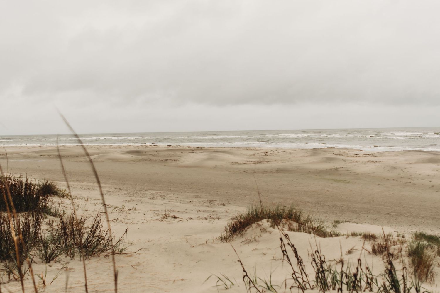 Desolate sandy beach with sea oats, rolling dunes, and overcast skies along a tranquil coastline.