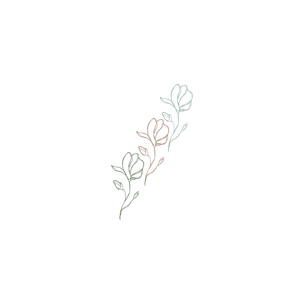 Minimalist line drawings of flower buds and stems in sequence.