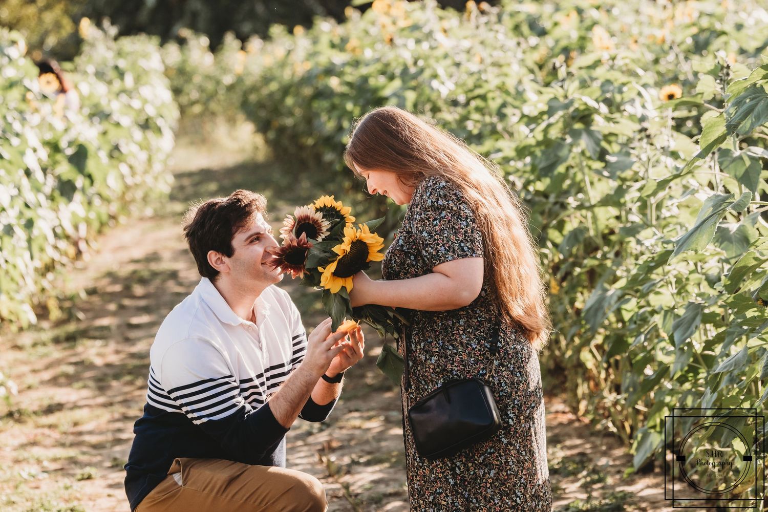 Man kneeling proposing with sunflowers to woman in floral dress in a sunflower field on a sunny day.