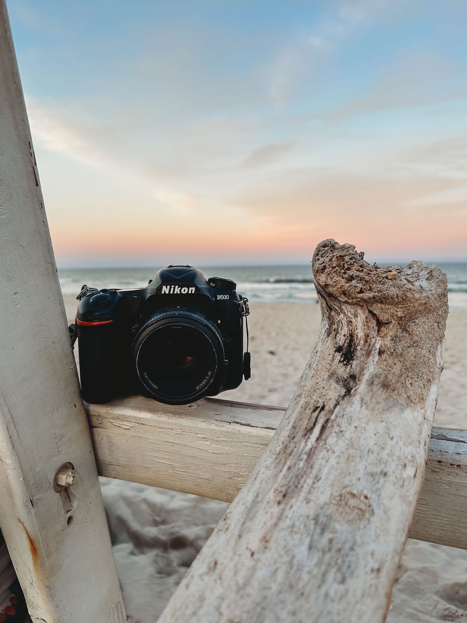 Professional camera equipment arranged on bleached driftwood against a coastal sunset.