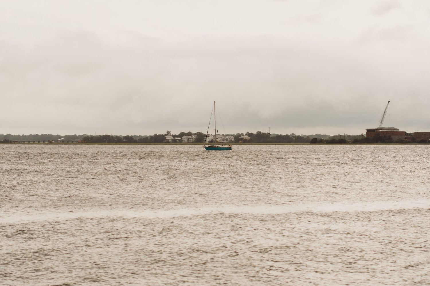 Sailboats dot the horizon on a serene waterfront view.