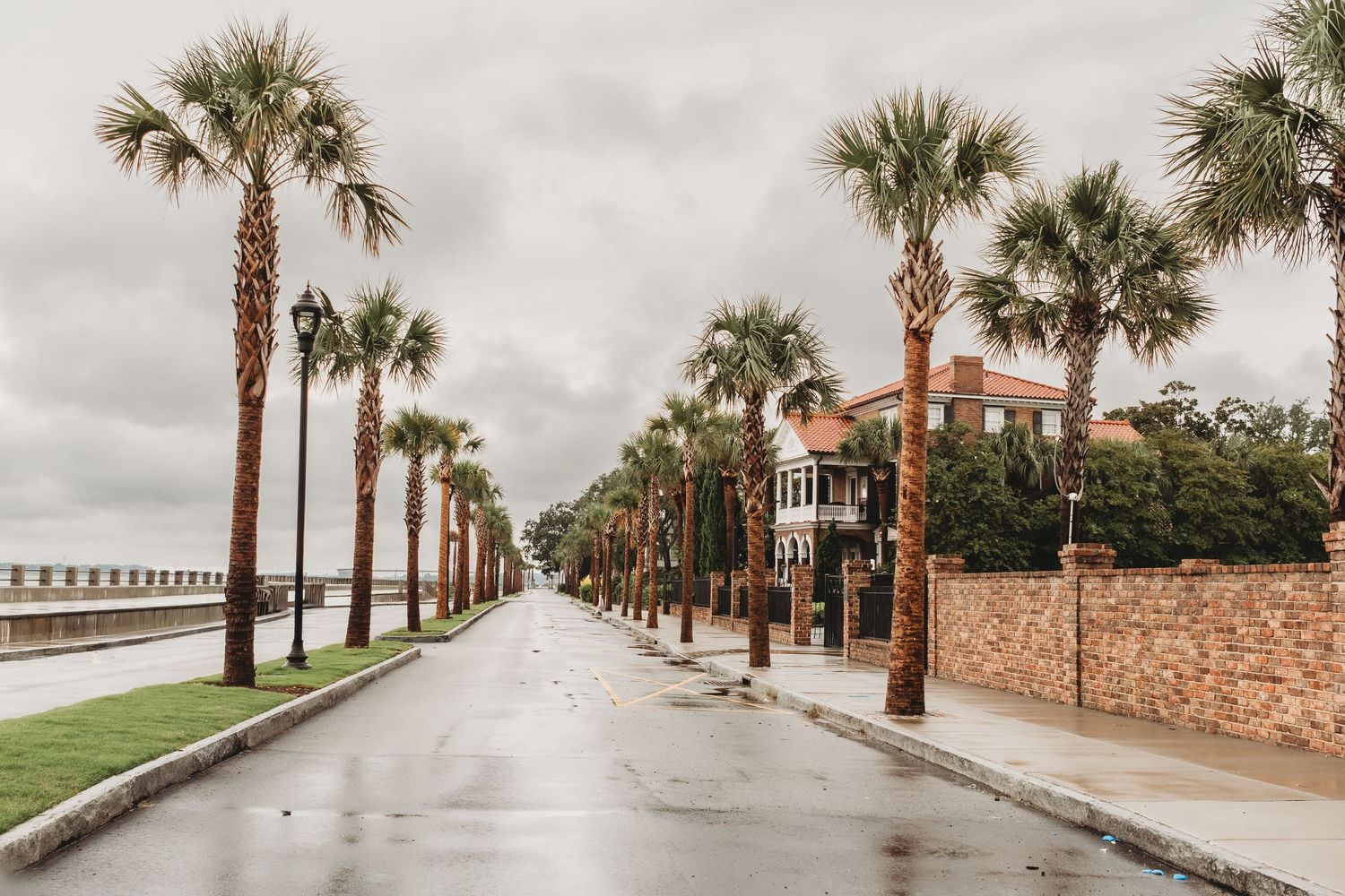 Rain-slicked palm tree-lined street along a waterfront in Charleston, SC under overcast skies.
