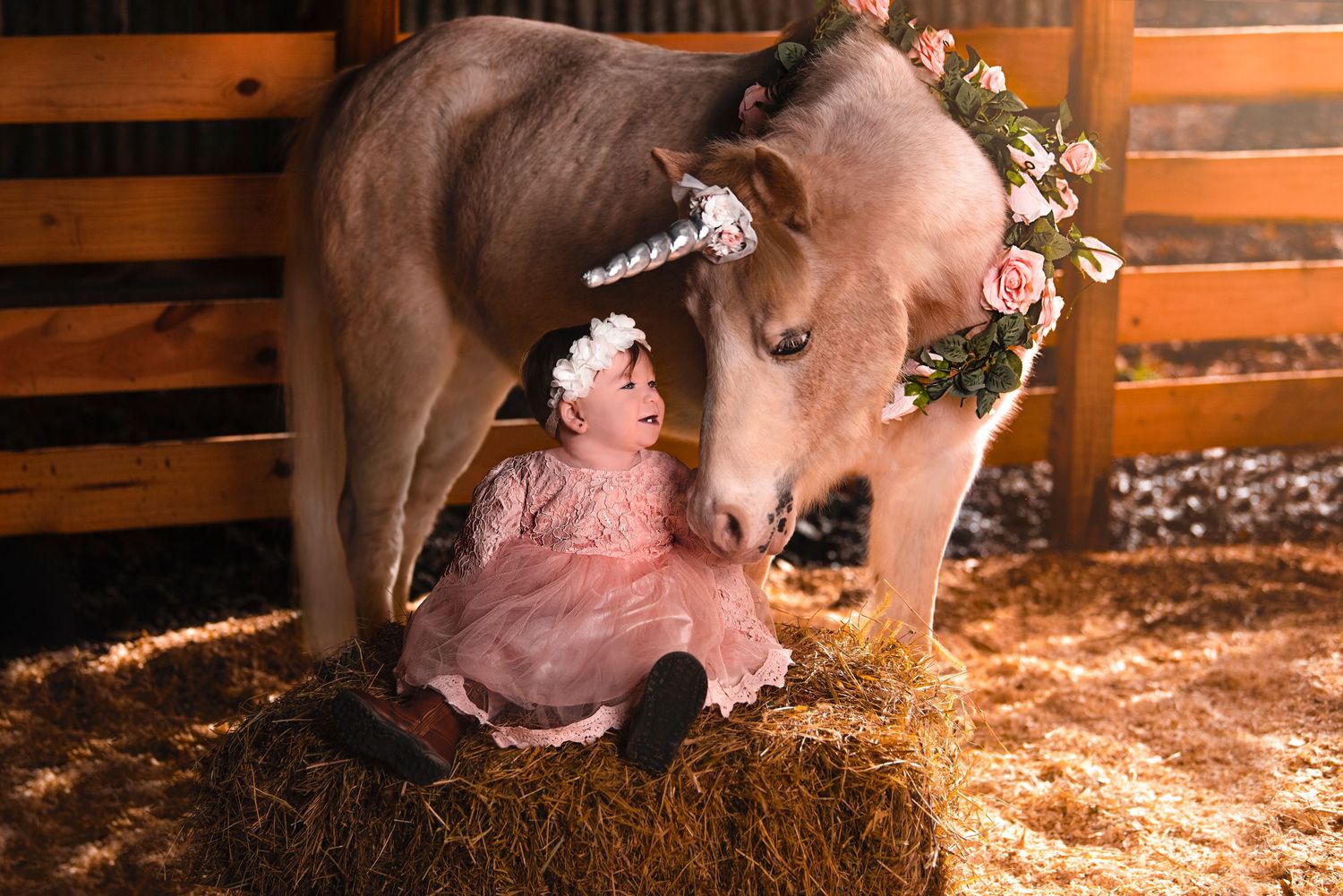 unicorn horse