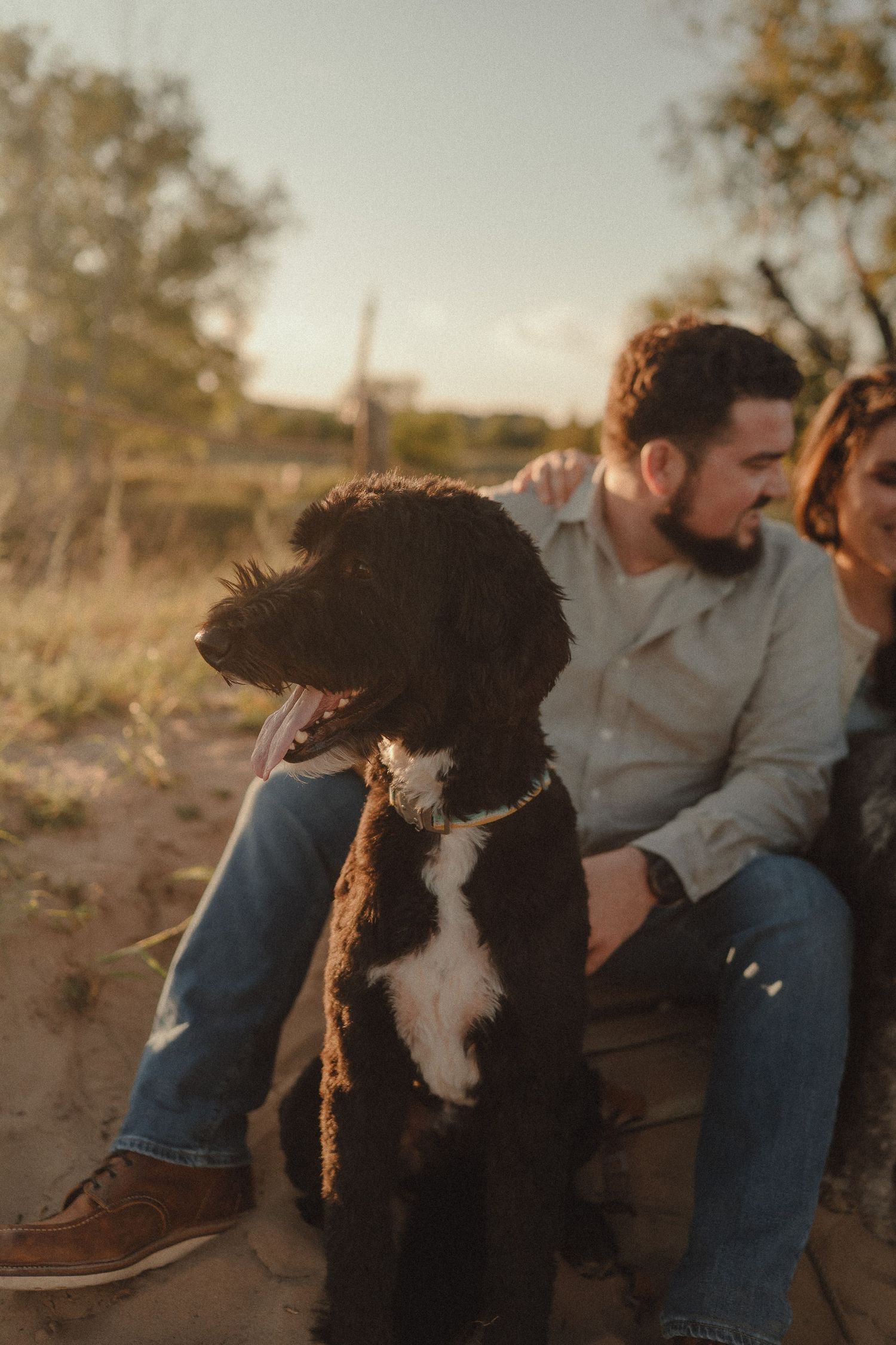 Black and white dog sitting with couple on sandy ground during warm sunset outdoors.