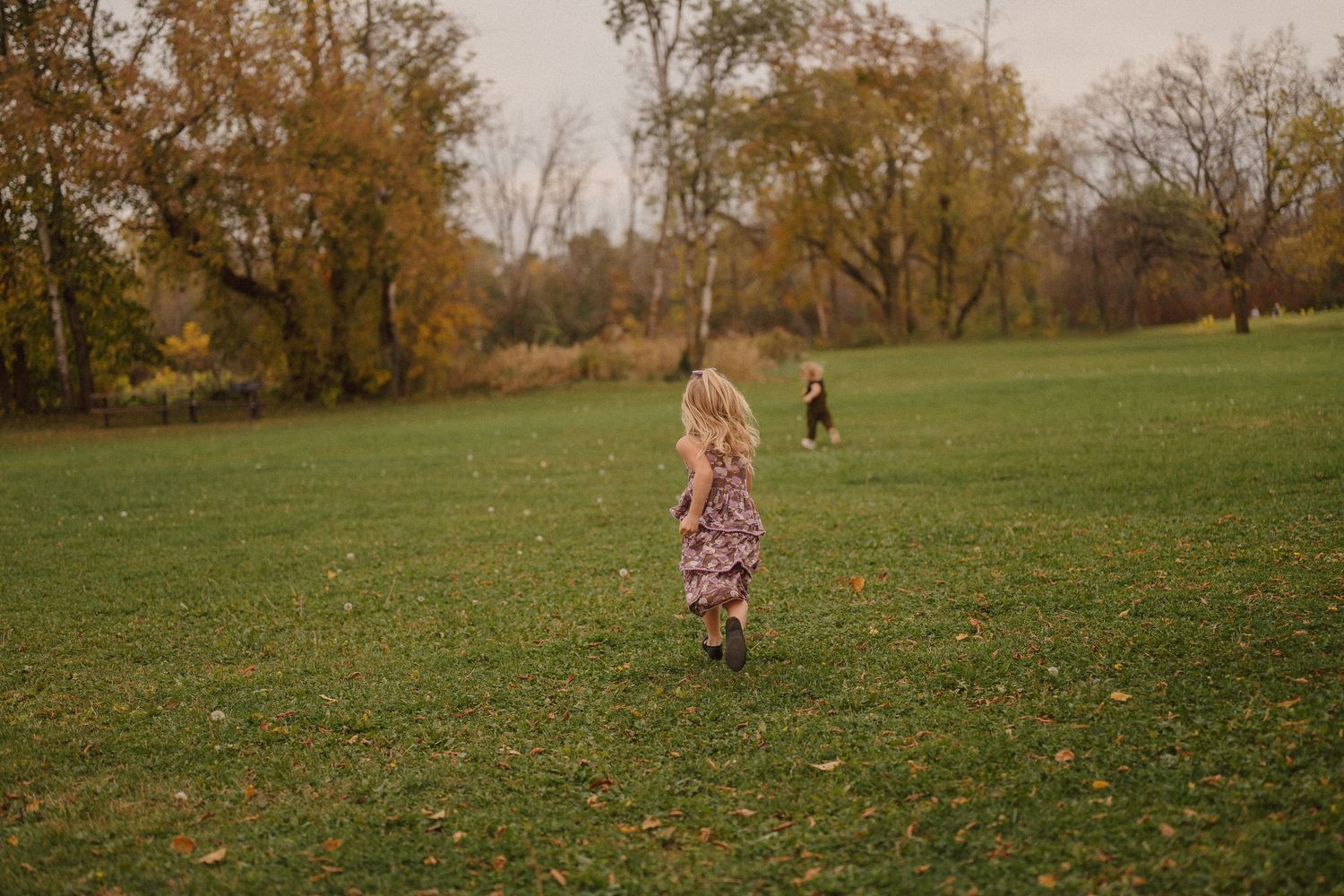 A grassy field with scattered autumn trees and fallen leaves creates a natural outdoor setting.