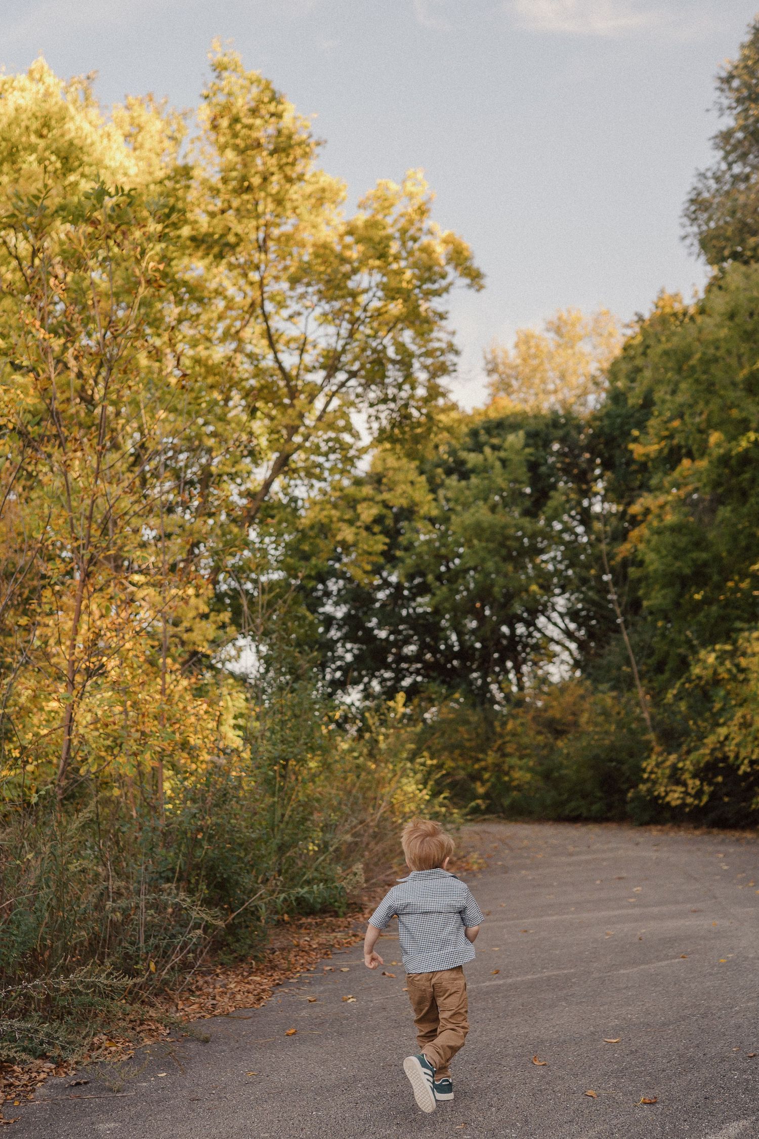 Children run and play on a sloped hill during autumn with golden trees in the background.