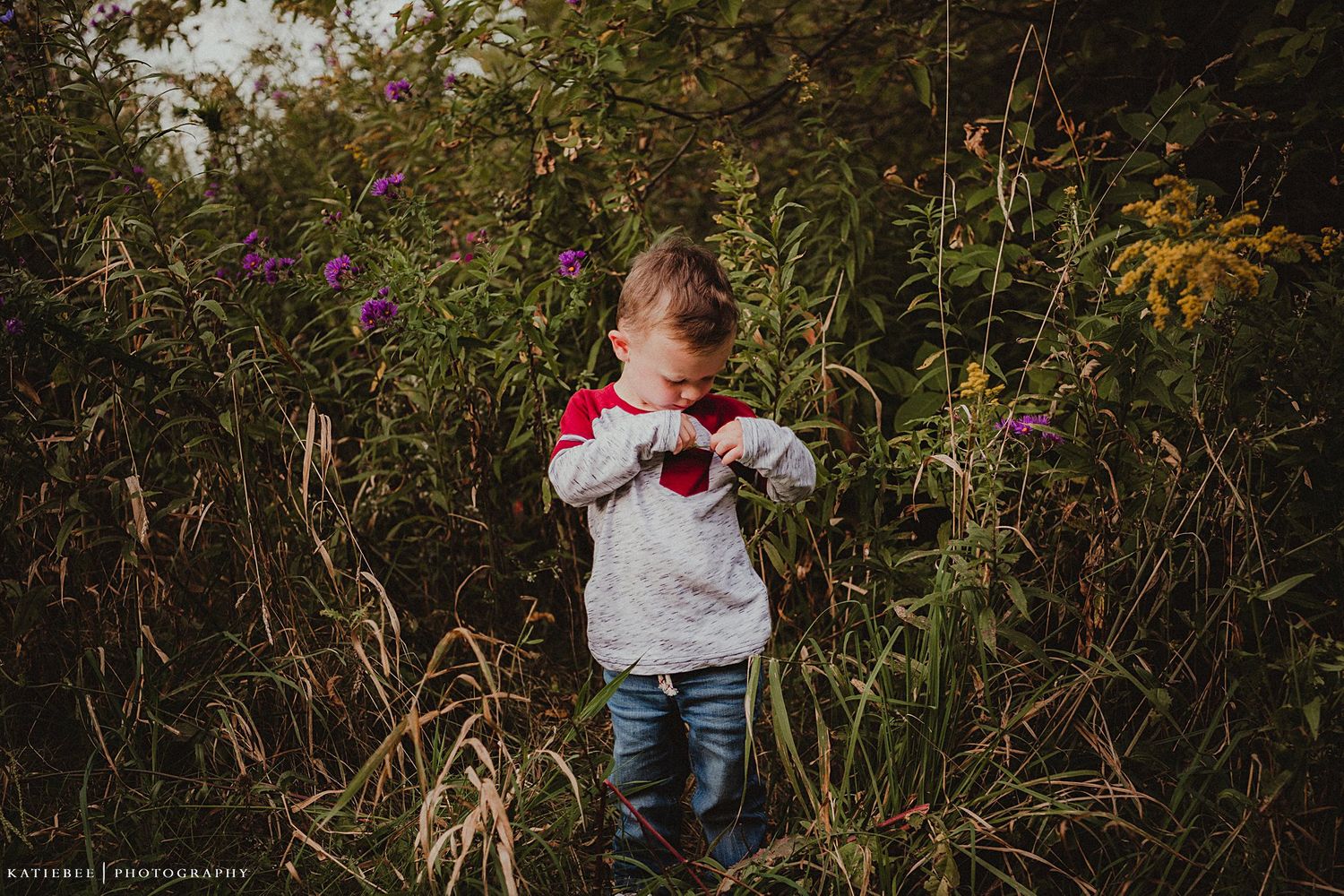 Child exploring in field of tall grass and wildflowers.