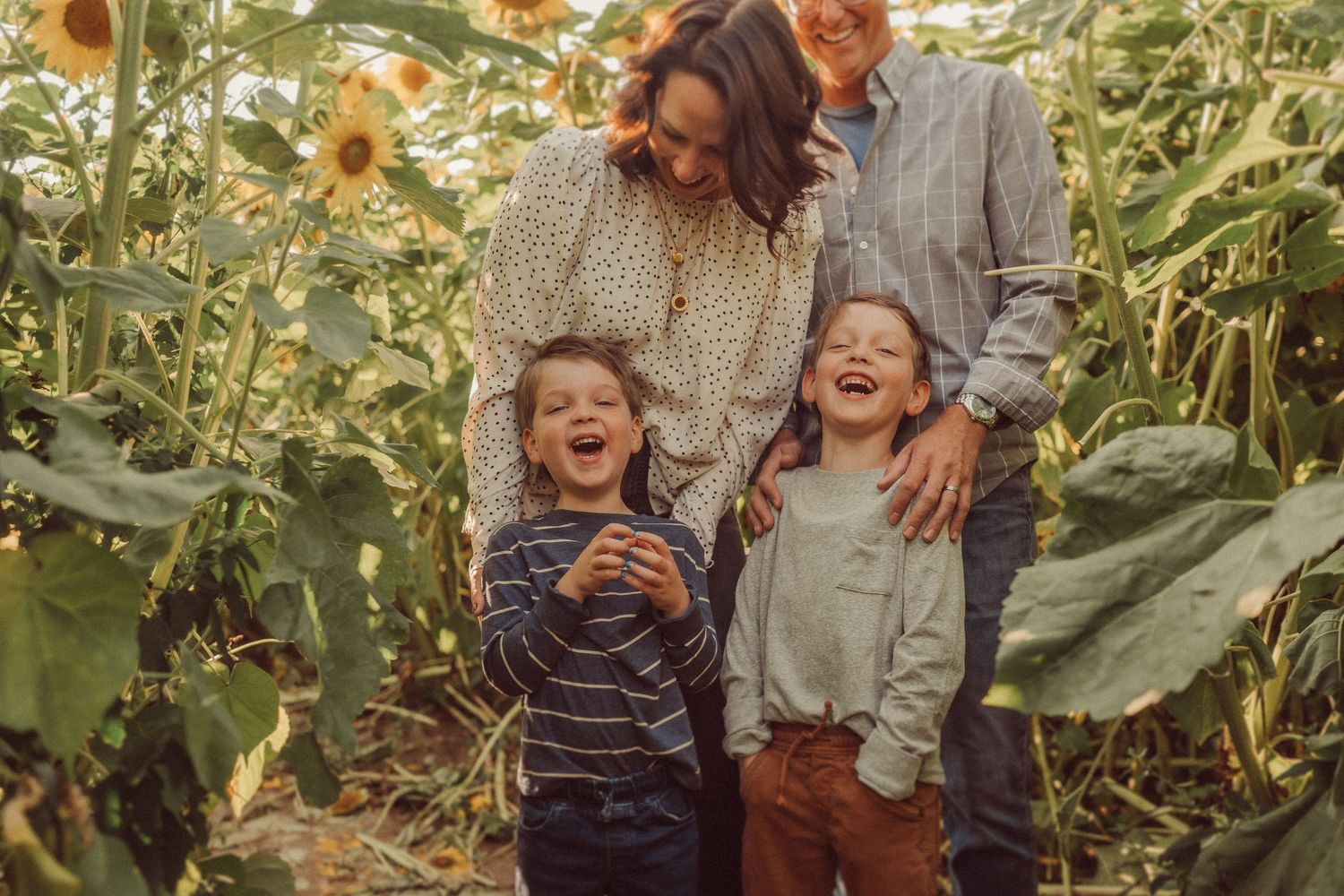A joyful family moment laughing together among tall sunflowers on a sunny day.