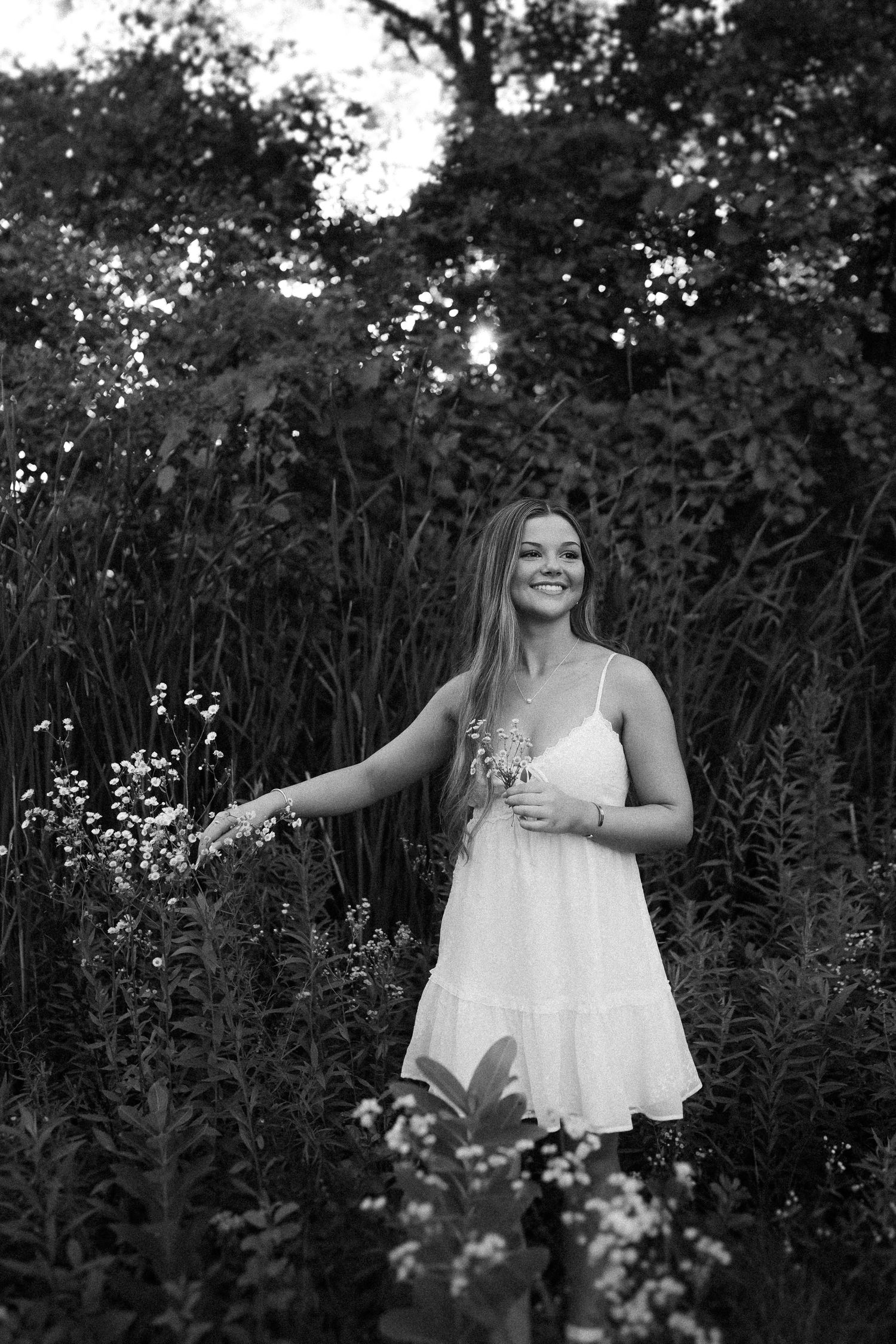 Black and white nature portrait surrounded by tall flowering plants at dusk.