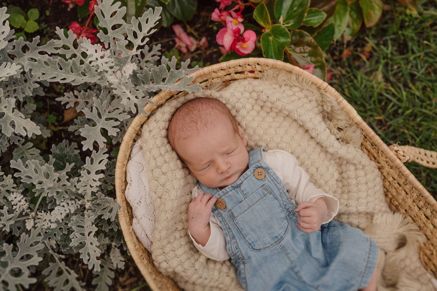 A baby in denim overalls rests peacefully in a woven basket outdoors.
