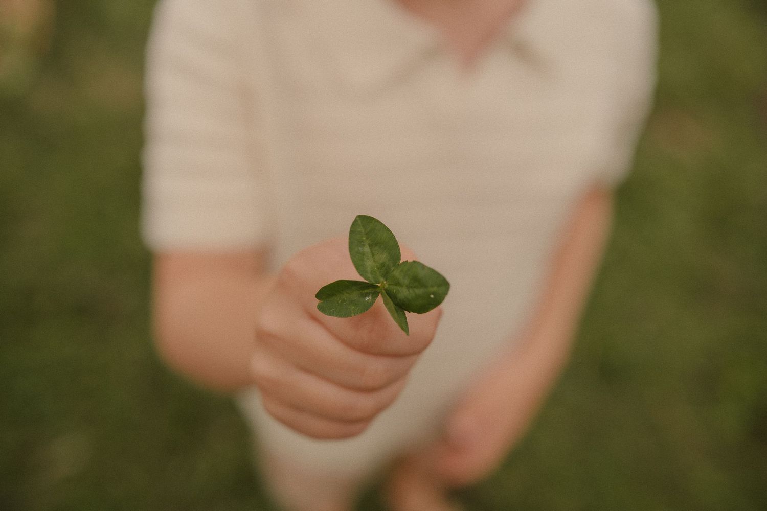 A three-leaf clover being gently held between fingers against a soft green grassy background.