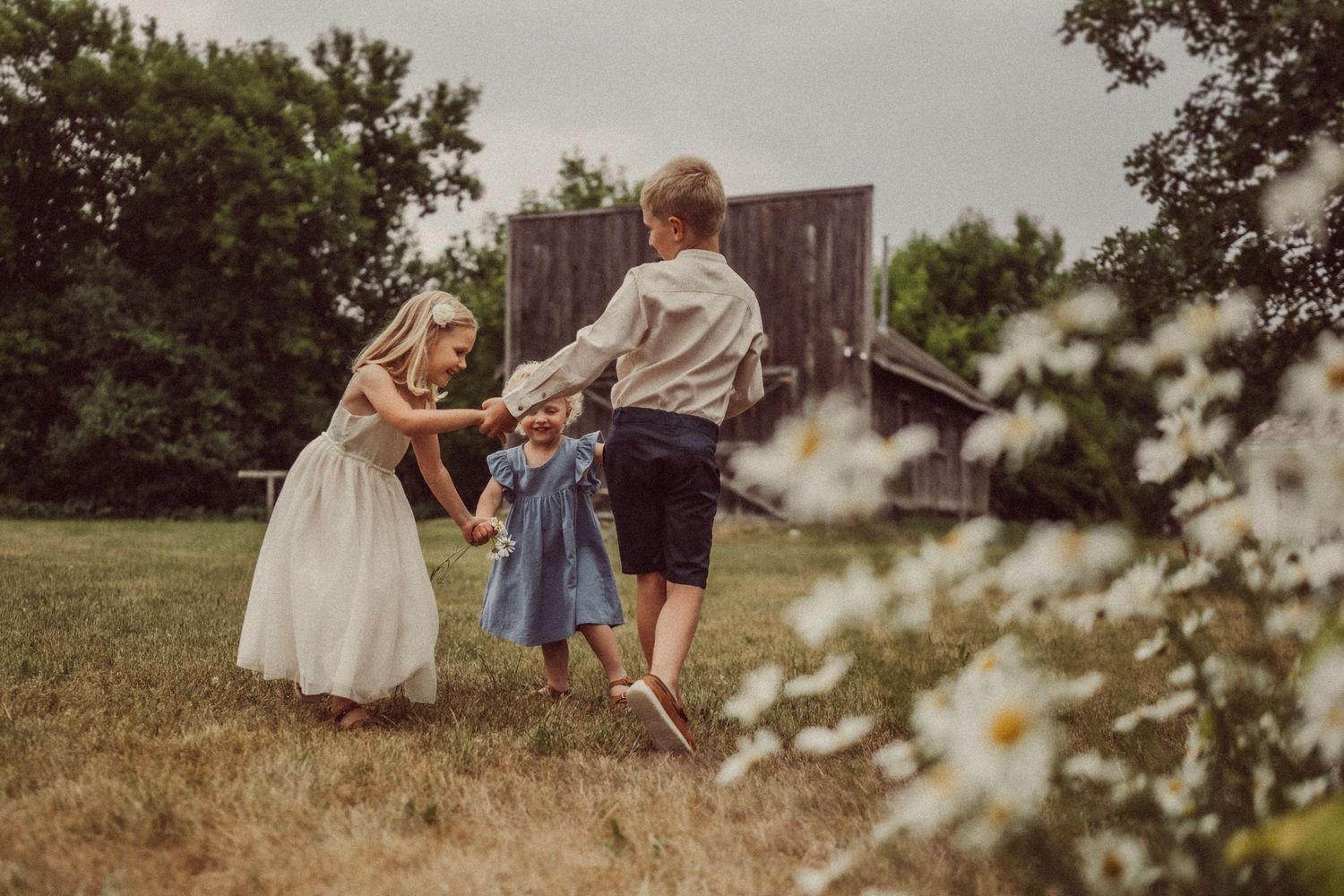 Children play together in a summer field with blooming daisies in the foreground.