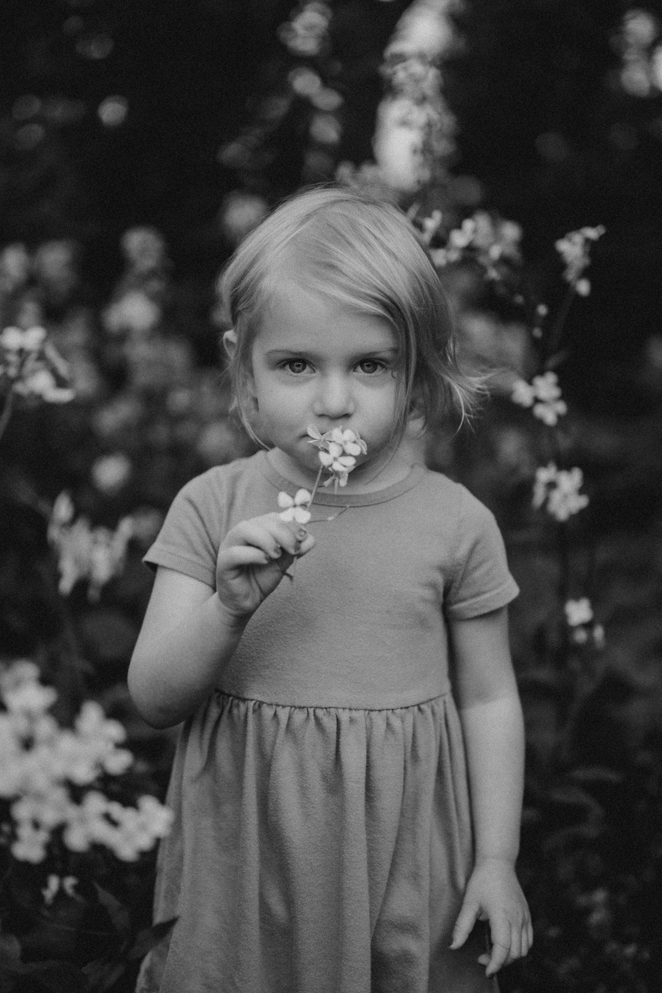 Black and white photo of child smelling white flower while wearing gray dress outdoors.