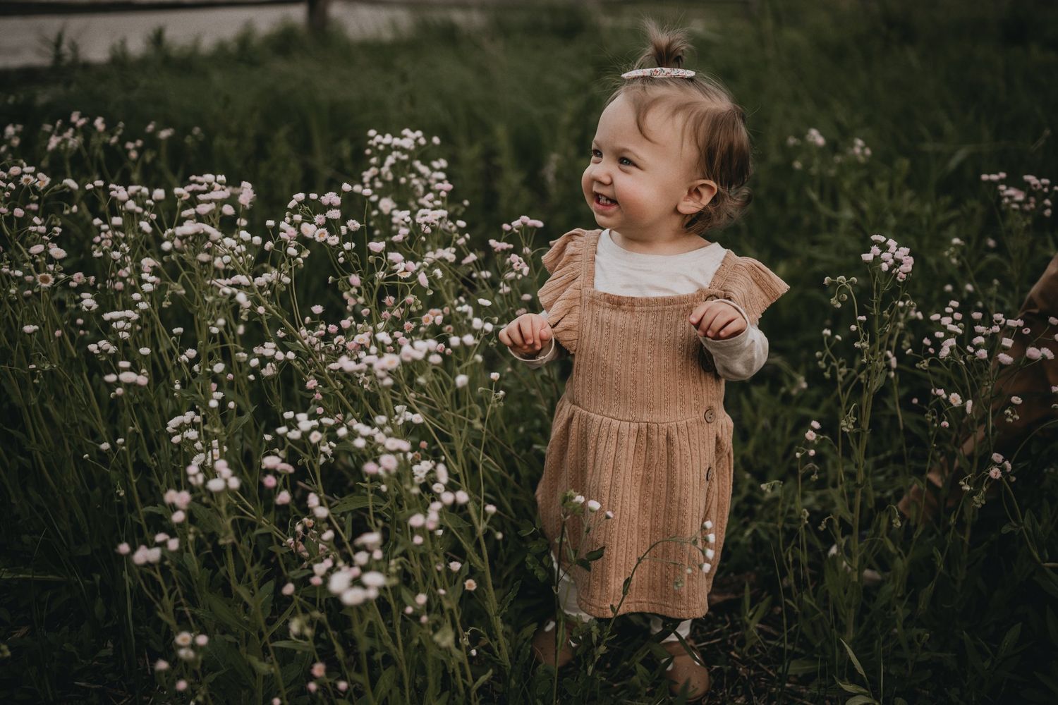 Toddler in tan dress explores field of white wildflowers at sunset.
