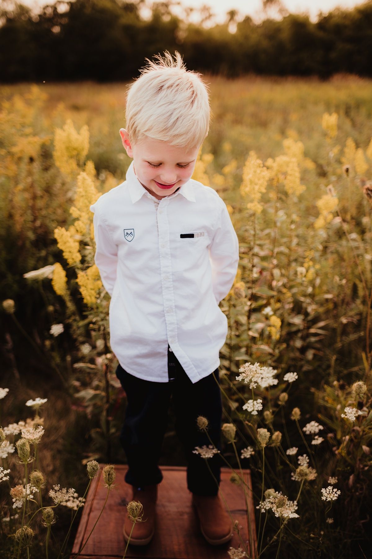 Child stands on wooden platform among yellow wildflowers at sunset.