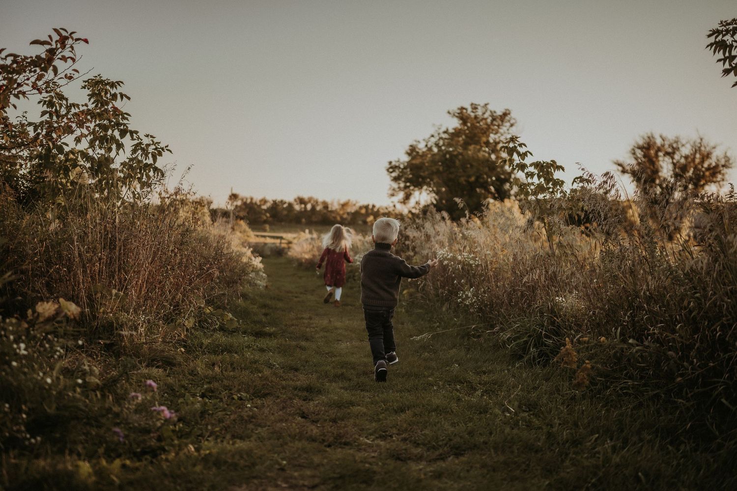 A silhouette walks down a grassy path between wild plants at sunset near a red barn.